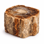 Petrified Wood